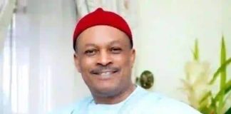 Anyanwu Back as PDP National Secretary