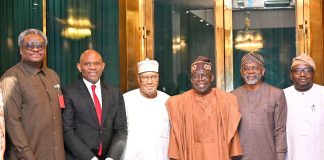 Power Sector Debt: Tinubu Seeks Time for Verification, Pledges Support