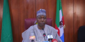 Minimum Wage: Gov. Zulum tasks Borno LG chairmen on implementation