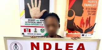 Fake Pregnancy Foiled: NDLEA Arrests Widow with 1.3kg of Cocaine in Lagos