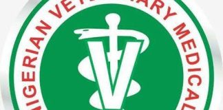 NVMA Confirms Rabies Outbreak in Ajah, Lagos State