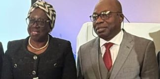 FIRS Boss Seeks Global Action Against Cross-Border Crimes