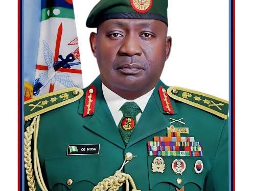 IMG_4554-495x375 (1)