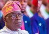 Tinubu Sets Aside Fresh Appointments, Recalls DG of NTA, ED News
